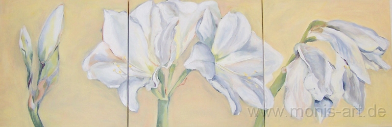 Amaryllis.jpg - Amaryllis weiß (2004)  -  Acryl auf Leinwand. 3-teilig (50 x 150)  Privatbesitz