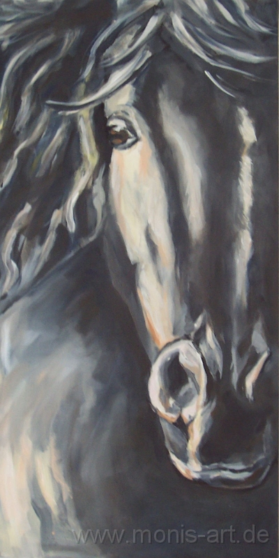 Pferd_schwarz.jpg - Pferdekopf (2002)  -Acryl auf Leinwand (50 x 100)