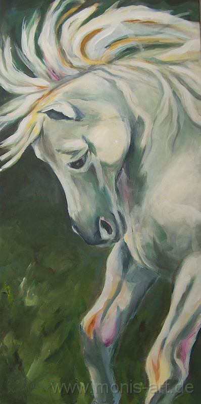 Pferd_weiss.jpg - Andalusier Hengst (2002)  -Acryl auf Leinwand (50 x 100)