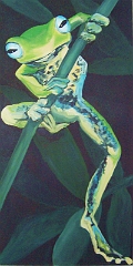 Frosch