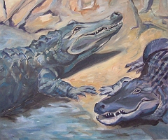 Krokodile